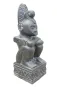 morepic-3